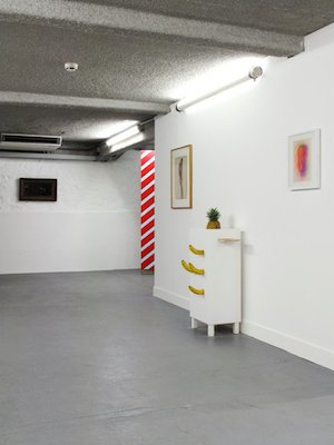 Louis Gary, vue d'exposition La salle de fruit, Vestibule de la maison rouge - Fondation Antoine De Galbert, 2011