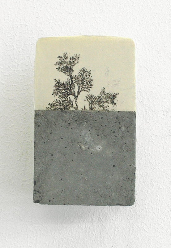 White Cedar, 2016. Transfert sur papier et béton, 7,8 x 4,7 cm © Nicolas Muller