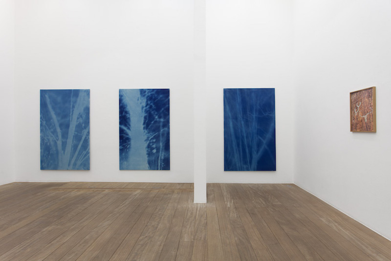 [EN DIRECT] Forêt, une exposition de Philippe Durand à la Galerie Laurent Godin Paris