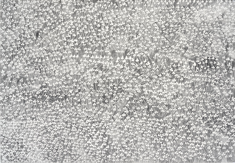 Christine Crozat, Dans les champs n°1, 2017. Graphite sur papier, 72 x 103 cm