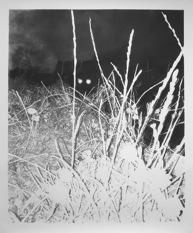 Who goes there? Soupe originelle Sussex pheasant hunt, fusain, pierre noire et mine graphite sur papier, 138,5 x 167 cm, 2018