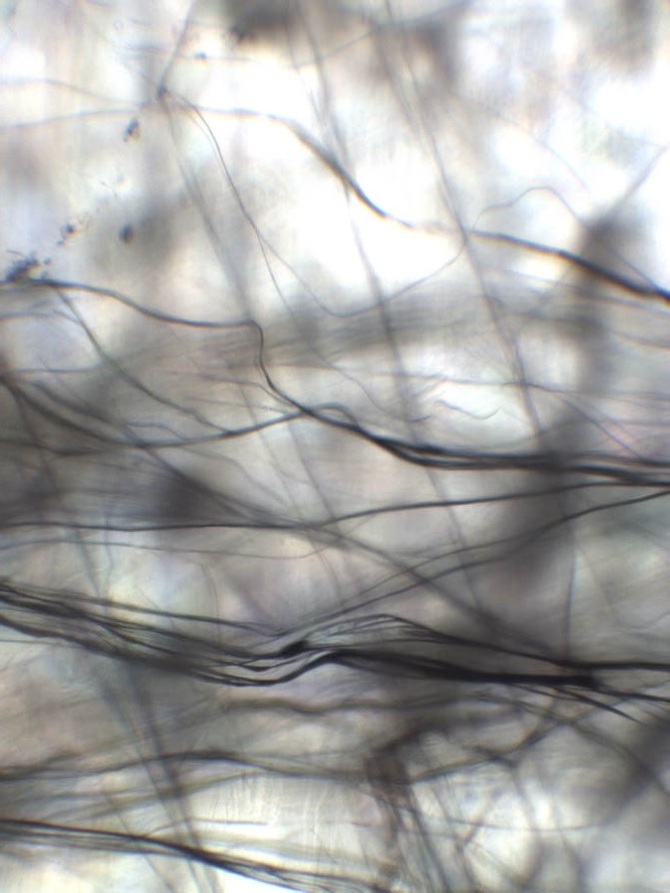 « Lire les pierres de plus près » – 2019 photographie au microscope, impression sur papier japonais, structure en aluminium Crédits photo Keffer