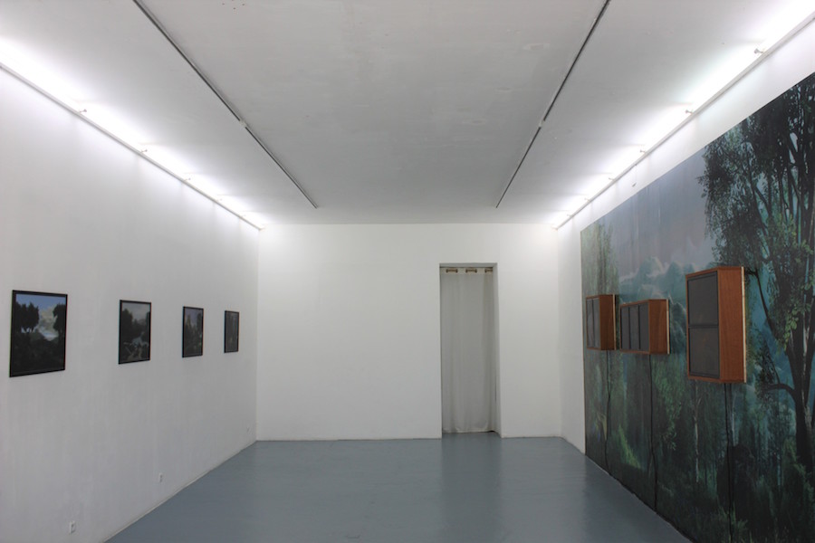 Vue d'exposition Les Trois Grâces et autres récit de Lucas Seguy à galerie RDV, Nantes