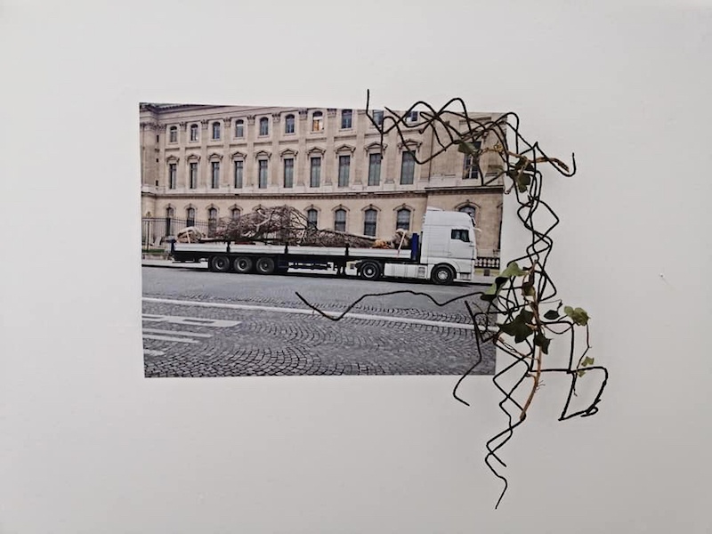 Morgane Porcheron, Nouveaux paysages 	- 2019 Photographies, matériaux divers 49 x 38 cm  Photo Florence Traullé