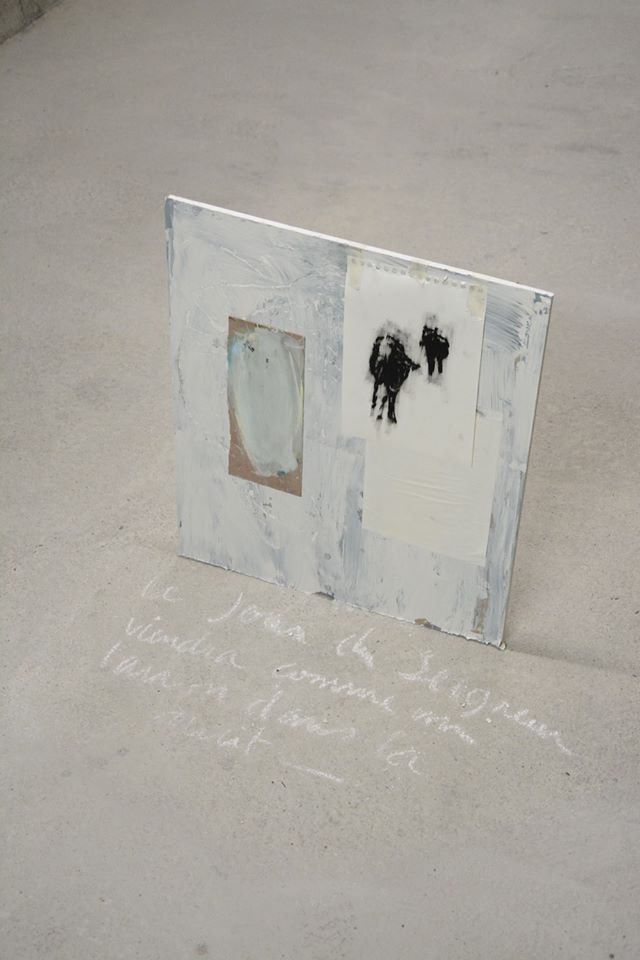 Vue d'exposition La Terre entière pour tombeau de Gabriel Folli jusqu'au 21 février 2020 Le Box Toulouse