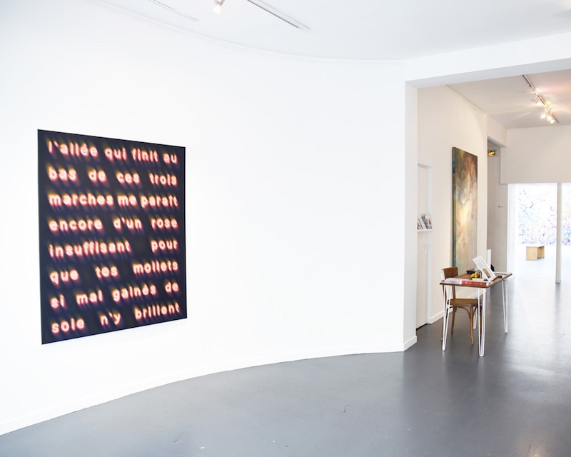 Pedro Ruxa, vue d'exposition Pour une peinture sans image, Galerie du Crous Paris, juillet 2019