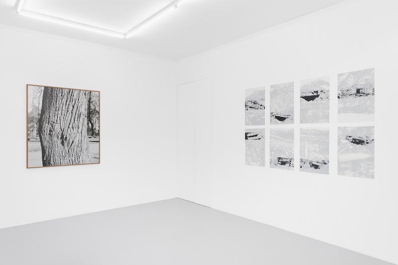 Vue d'exposition Resilience, an aptitude, Irène Laub Gallery Brussels