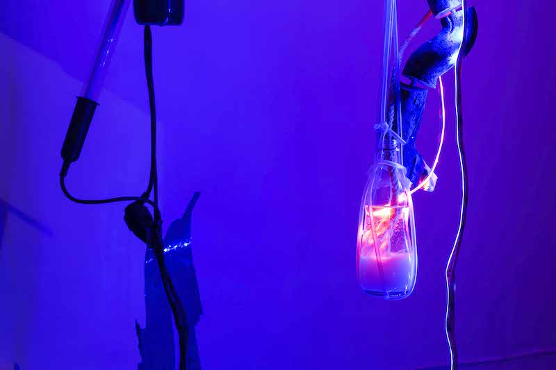Exposition Un mirage irisé de Damien Fragnon visible depuis la vitrine du lieu et en streaming sur www.kommet.fr 