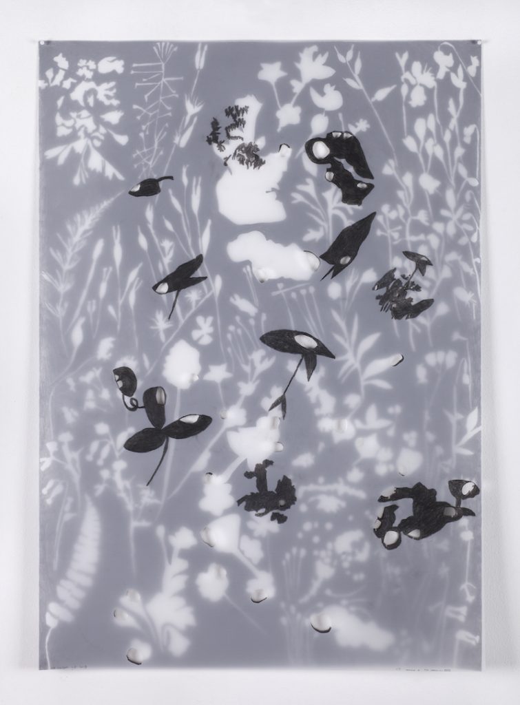 Christine Crozat, Sans titre 03, 2019 Graphite et découpe sur double calque 84 x 59 cm Photo Bertrand Hugues