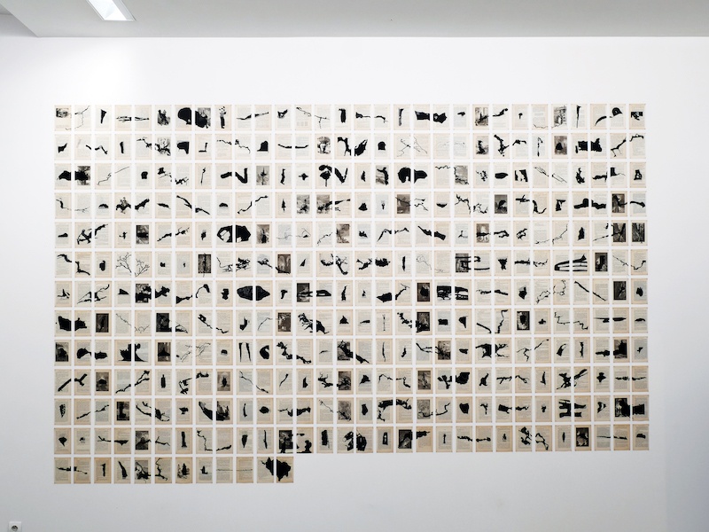 Aurélien Mauplot, Les Salons noirs, 2021. Impression numérique sur page de livre, 500 x 200 cm