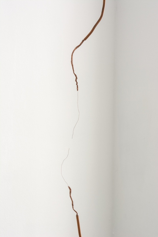 Vue d'exposition Une coupure dans le continu, Jean-Baptiste Caron et Sophie Blet, Galerie 22,48m2, Paris