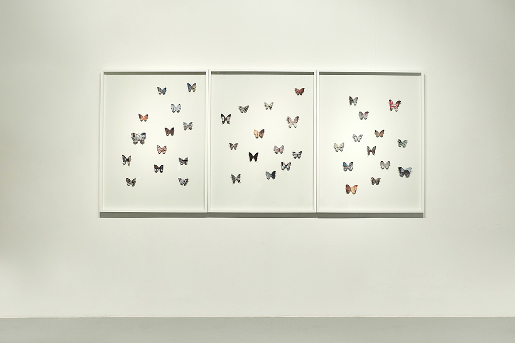 Aurélie Pertusot, Ephemeral memories, 2023. Impression sur papier découpé au lazer, cadre en bois. 3 x 1 m. Photo Daria Szczygieł