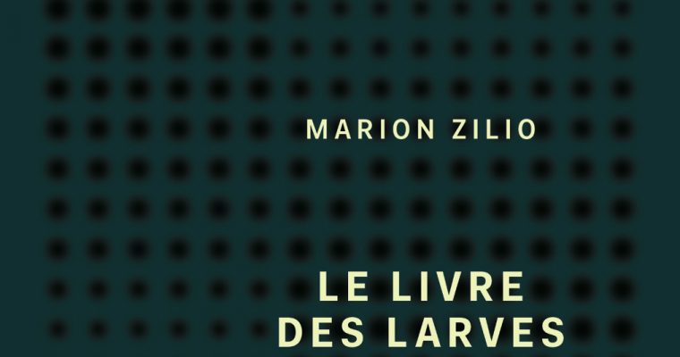 Le livre des larves, Marion Zilio