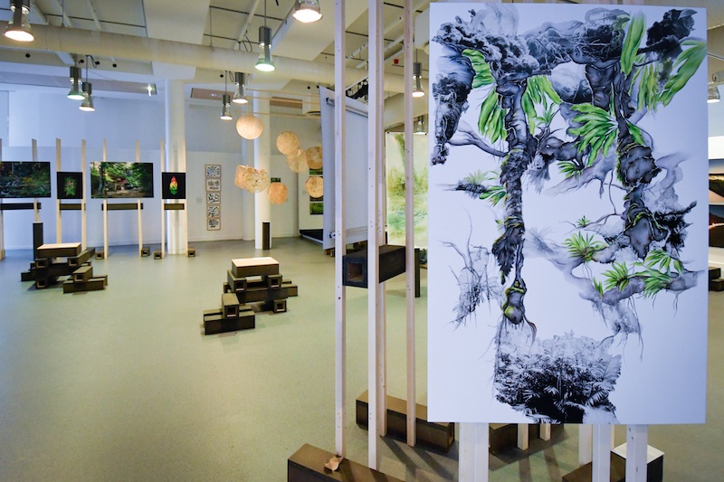 Vue exposition Forêt, Vert Fragile, Bibliothèque Alcazar de la Ville de Marseille - Photographie Edyta Tolwinska