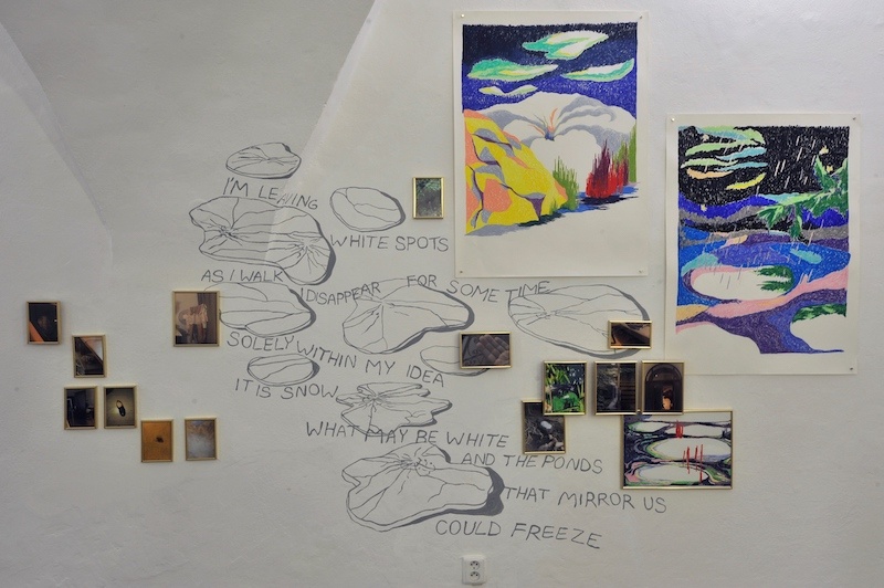 Pamela: Cold as ice, detail of an installation. Photography, wall painting, poems, oil pastel drawings on paper, 2023. Photo: Pavel Petrov, OGV Jihlava.