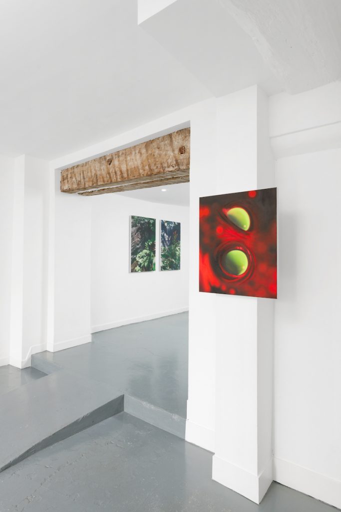 Vue d’exposition « Et la guêpe entra dans la figue », Spiaggia Libera, Paris, 2024