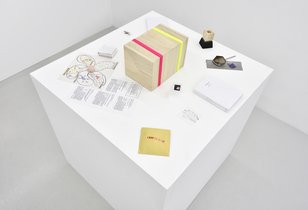 Vue de l'exposition Born And Die #01 - Nazdravlje! (Under construction Gallery), 2016 Alon, Marielle Chabal, Aurélie Féruel & Florentine Guédon, Robin Lopvet, Gwendoline Perrigueux, Emilie Schalck, Rébecca Topakian