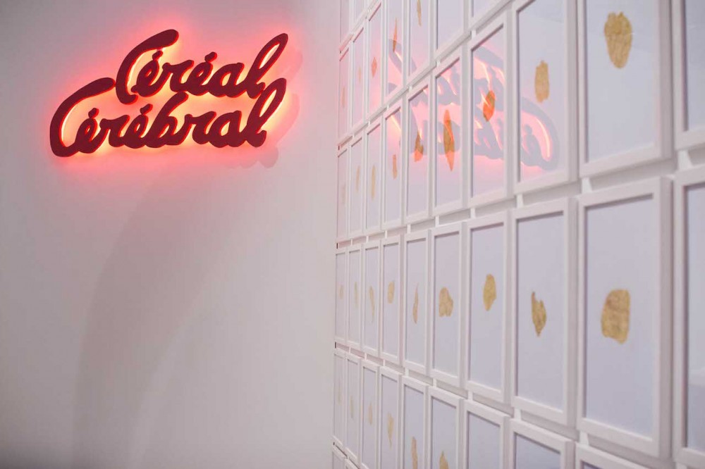 [FOCUS] Paul Heintz au Salon de Montrouge 2015