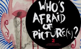 [ENTRETIEN] Frédéric Léglise présente Who’s afraid of picture(s) ?