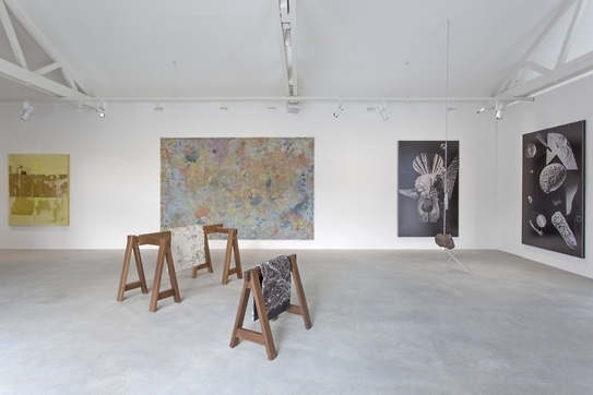 WASTELAND New art from Los Angeles, curaté par Shamim Momin / Galerie Thaddeus Ropac Paris Pantin