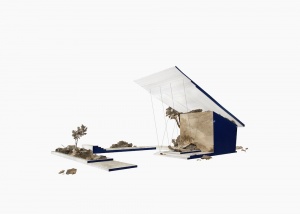 TIGHT VIEW Dessins, collage de gravures anciennes et cyanotypes 70 x 100 cm Collection privée 2016