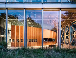 Le Grand Orchestre des Animaux - Fondation Cartier pour l'art contemporain