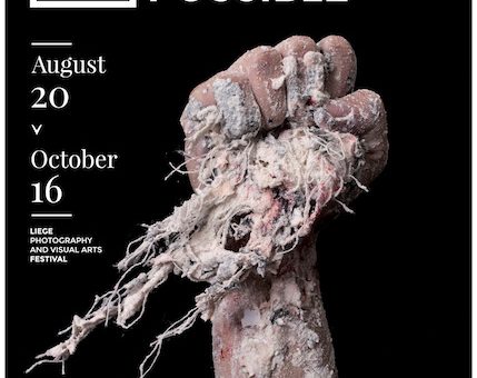 Biennale de l'Image Possible - Liège 2016