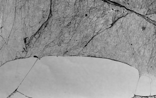 Anne-France Abillon et Ruyji Taira - Tisser le temps - Galerie Sit Down