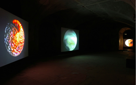 Steina et Woody Vasulka & SLIDERS_lab - Vasulka’s Variations
