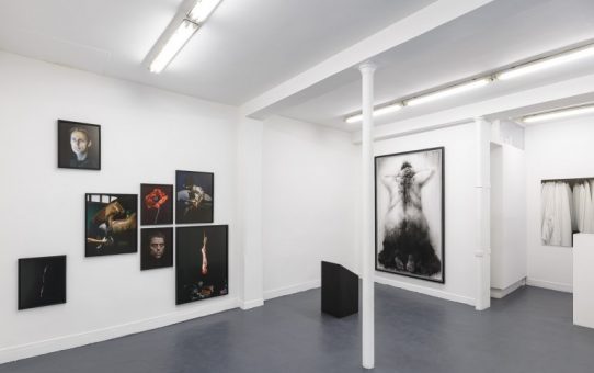 "CREDO" curated by Christian Egger - galerie C, Neuchâtel - 2016 copyright Grégory Copitet
