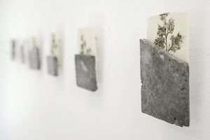 White Cedar, 2016. Transfert sur papier et béton, 7,8 x 4,7 cm © Nicolas Muller