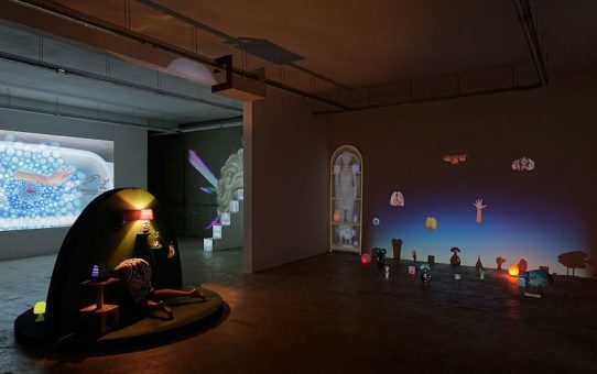 [EN DIRECT] Shana Moulton, Mood Swing à la Galerie Crèvecœur Paris