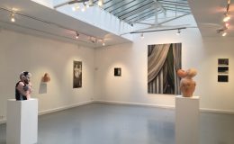[EN DIRECT] CONFRONTATION, Haeji Lim et Kun Kang Galerie du CROUS Paris