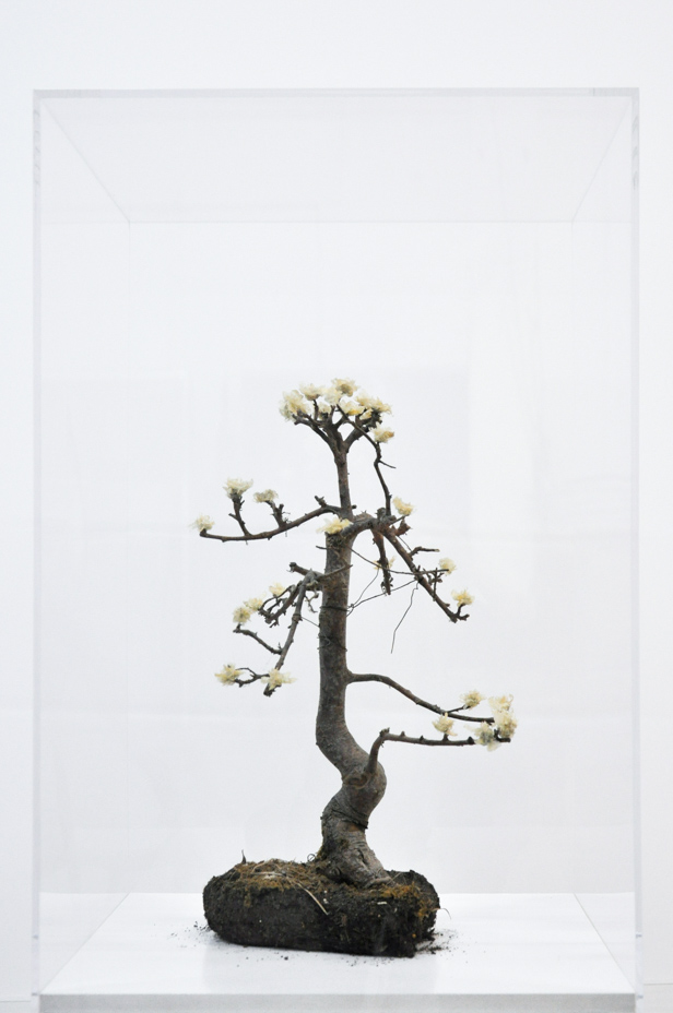 Lionel Sabatté, L’île - 2015 Peaux mortes, bonsaï mort, terre, 50 x 36 x 28 cm Collection particulière