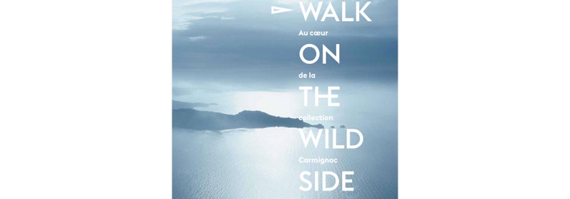 Walk on the wild side : au coeur de la collection Carmignac – Editions Skira