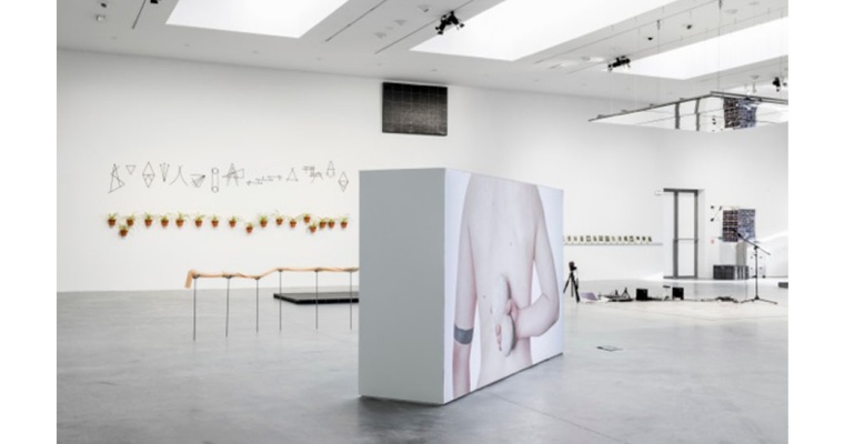 MANUFACTURING NATURE / NATURALIZING THE SYNTHETIC, FRAC DES PAYS DE LA LOIRE