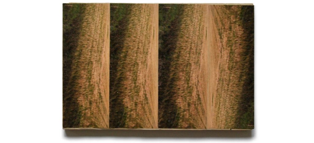 Kwama Frigaux, Visions Vézelay, décembre 2018, 15 x 23 cm, photographie sur bois, 4 tesselles