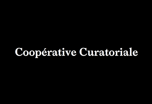 PRATIQUES CRITIQUES / Coopérative curatoriale hors les pages… par Bertrand Riou et Maya Trufaut assistant curator du CACN