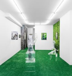 ANOUK KRUITHOF, TRANS HUMAN NATURE