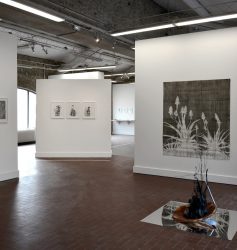 FABRICE CAZENAVE, ANTIPOLIS