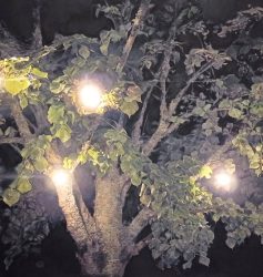 KATIA BOURDAREL, LES OMBRES QUE NOUS SOMMES
