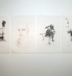 NATHALIE TACHEAU, DANS LE SECRET DES ARBRES-PAUPIÈRES