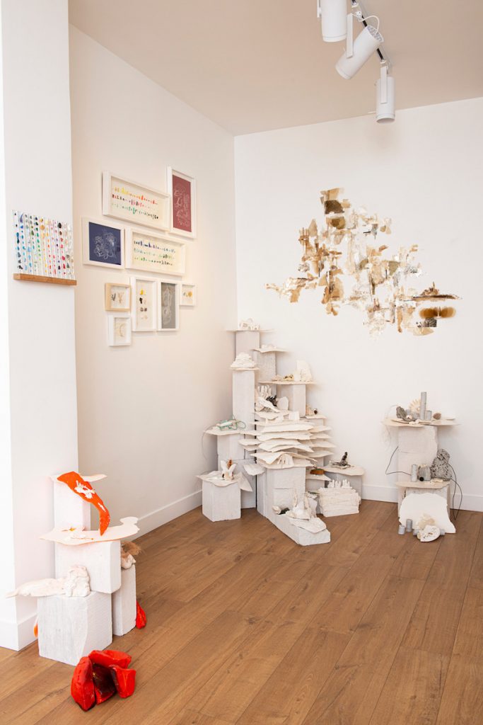 Exposition Fantastique Naturel de Laurence Nicola Jusqu'au 25 septembre 2021 (Fermeture au mois d'août), Segolene Brossette Galerie