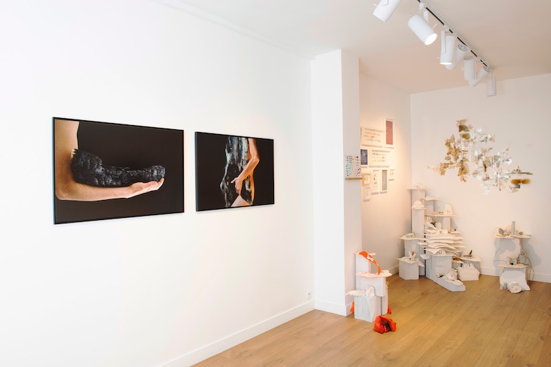 Exposition Fantastique Naturel de Laurence Nicola Jusqu'au 25 septembre 2021 (Fermeture au mois d'août), Segolene Brossette Galerie