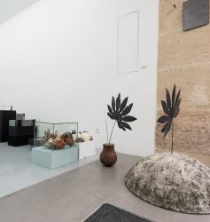MARIE DENIS, ALMA HERBARIUM