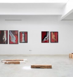 MYRIAM MIHINDOU, SILO