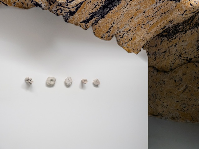 Exposition Dans les sols, l’avenir peut-être, exposition personnelle de Jérémy Gobé, Rurart, Venours. Crédit photo : Rurart
