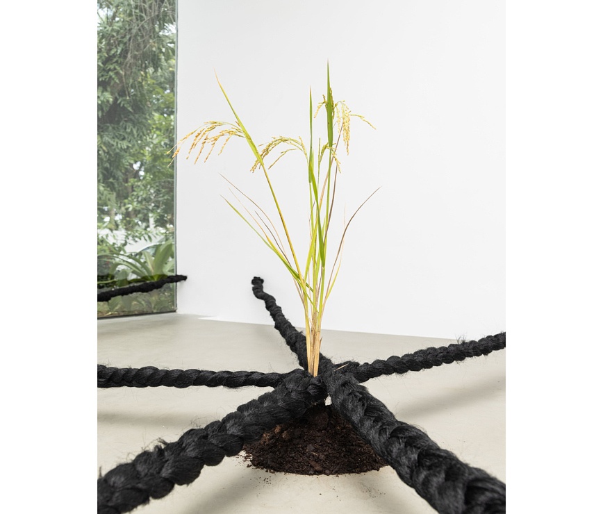 Binta Diaw, Dïà s p o r a, 2021 © Courtesy Galerie Cécile Fakhoury and the artist