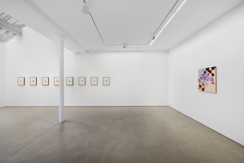 Gabriel Orozco, Diario de plantas, vue d'exposition, Galerie Chantal Crousel, Paris (2022). Courtoisie de l'artiste et de la Galerie Chantal Crousel, Paris. Photo : Martin Argyroglo