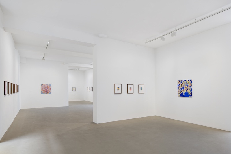 Gabriel Orozco, Diario de plantas, vue d'exposition, Galerie Chantal Crousel, Paris (2022). Courtoisie de l'artiste et de la Galerie Chantal Crousel, Paris. Photo : Martin Argyroglo
